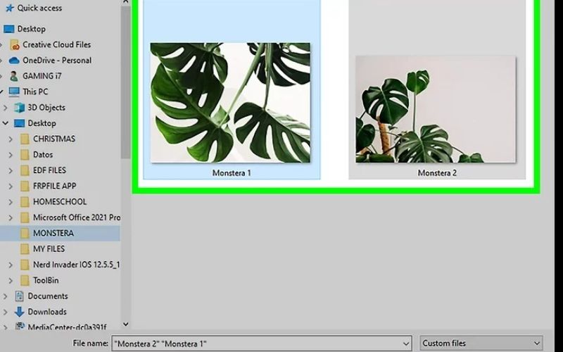 Navigate through your hard drive folders, click your target image assets, and hit Open to render a preview