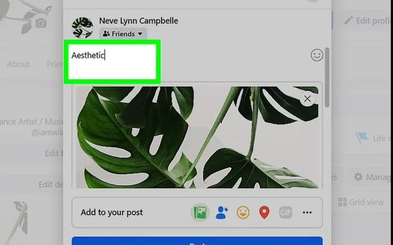 Input your text copy, formatting, or hashtags into the post publisher box