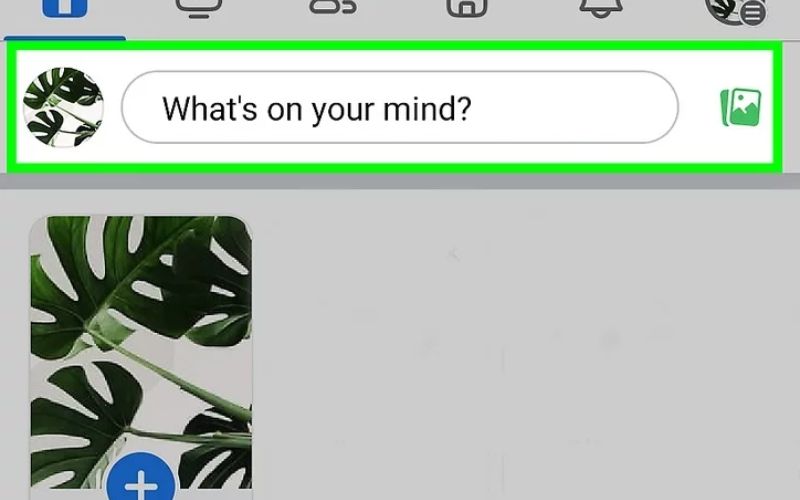 Tap the prominent text input field at the top of your main News Feed labeled "What's on your mind?" to launch the post-creation workspace