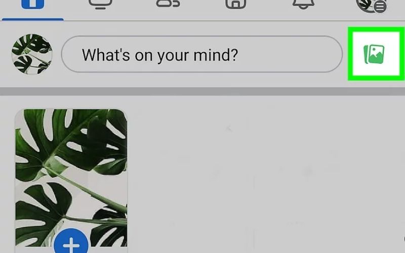 Tap the green Photo/Video icon located right below the text window to access your phone's local media storage