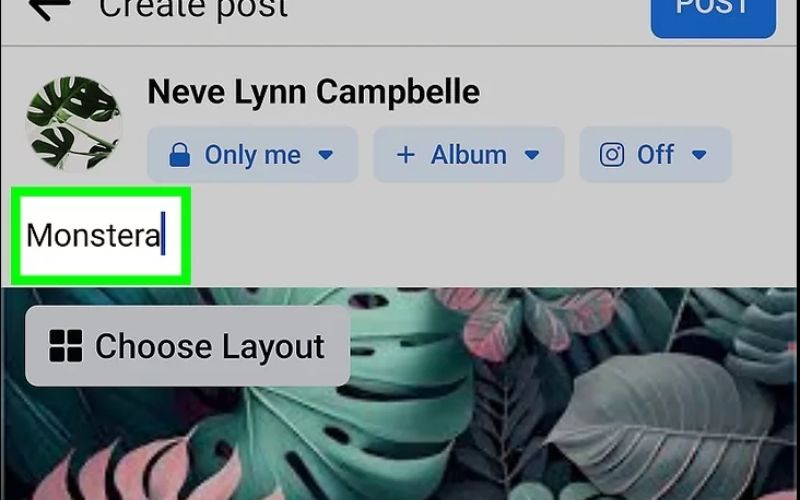 Write your accompanying text description or tag relevant location entities in the input field