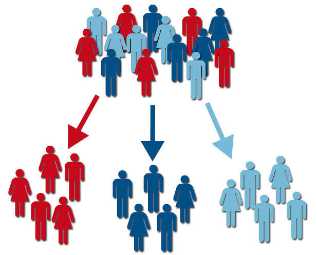 Use Audience Segmentation to Reach the Right People